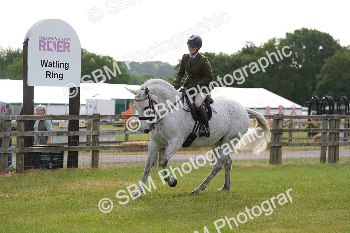 SBM_10600 - Class 97-98 - LIHS BSHA Rising Star Working Show Horse Hunter