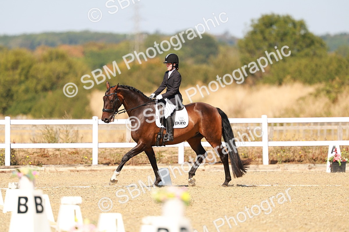 SBM_017685 - Class 9 - N5 Bronze 10.33.11.36