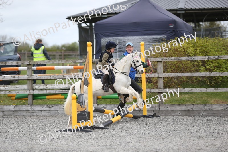 20260412-0194 - Show Jumping