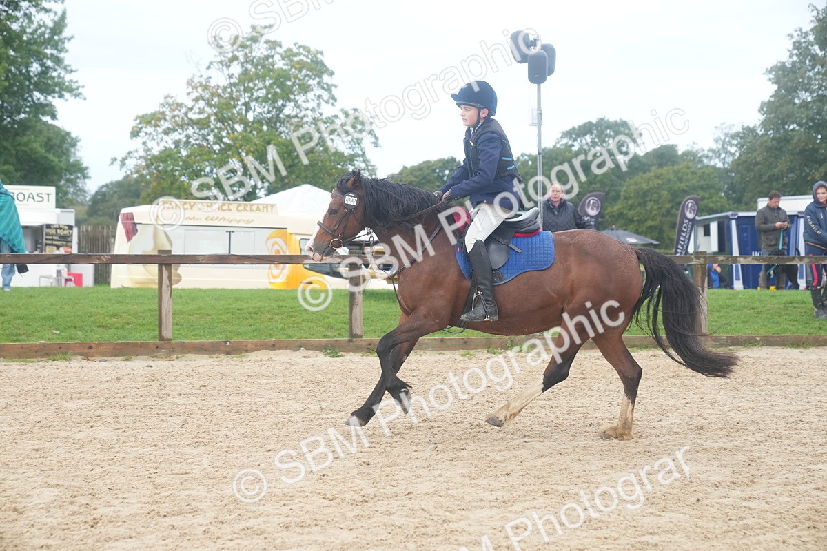 SBM_01891 - J54 - Clear Round 50cm