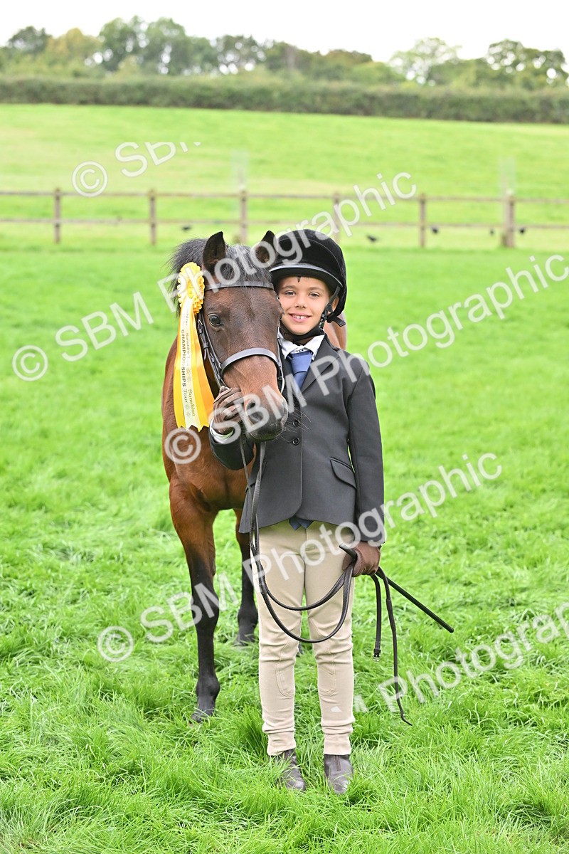 SBM_61083 - S48 - Mountain & Moorland In Hand Small Breeds