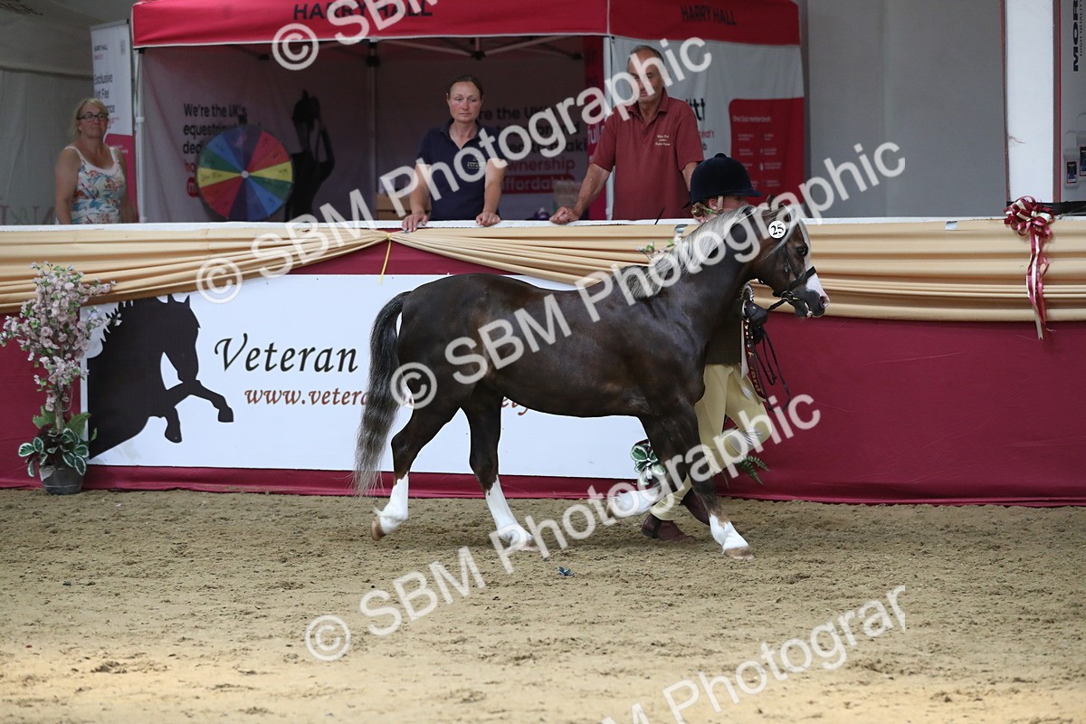 SBM_06625 - Regional IH Champ