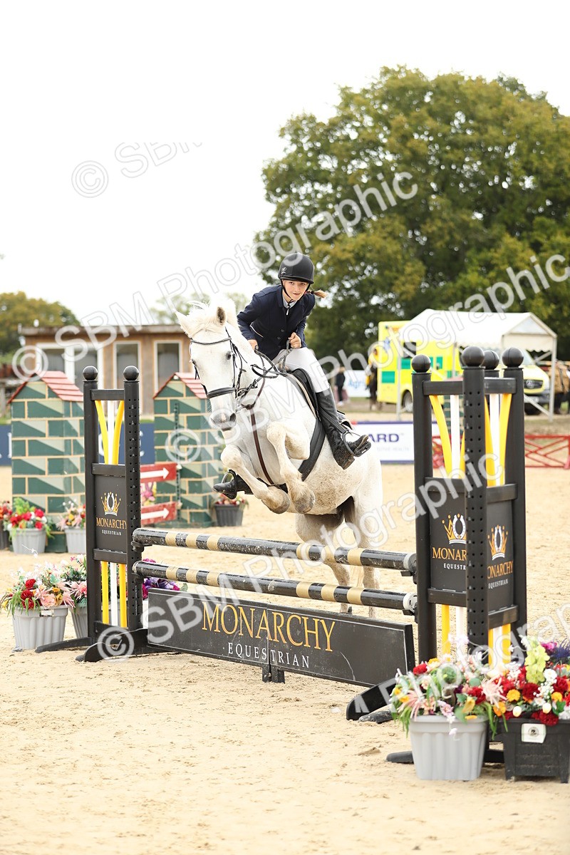 SBM_63151 - Supreme championship 75cm 80cm