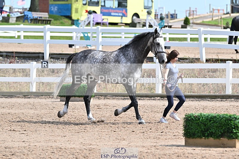 240717A-160842-03322 - Trot Up 4pm to 5pm