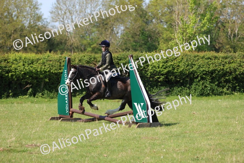 20250427-2488 - Class 19 - Mini Working Hunter