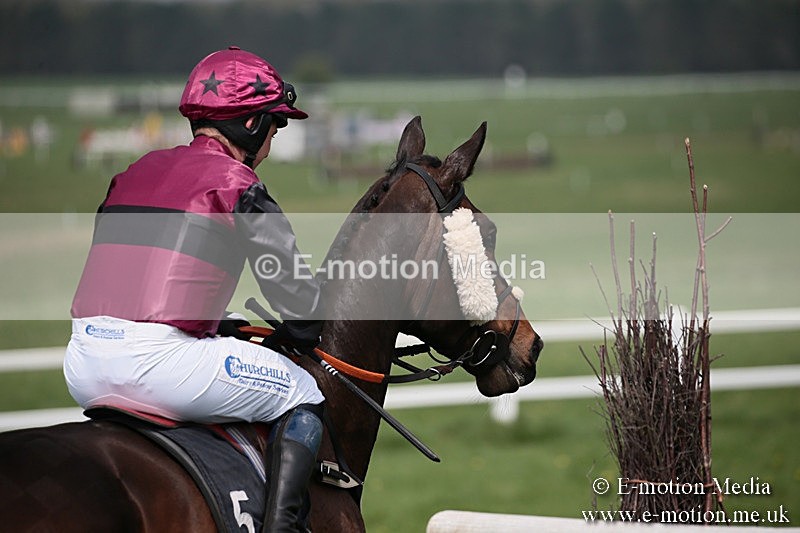 PtP 210418 180 - South & West Wilts Point-to-Point Larkhill 21/04/18
