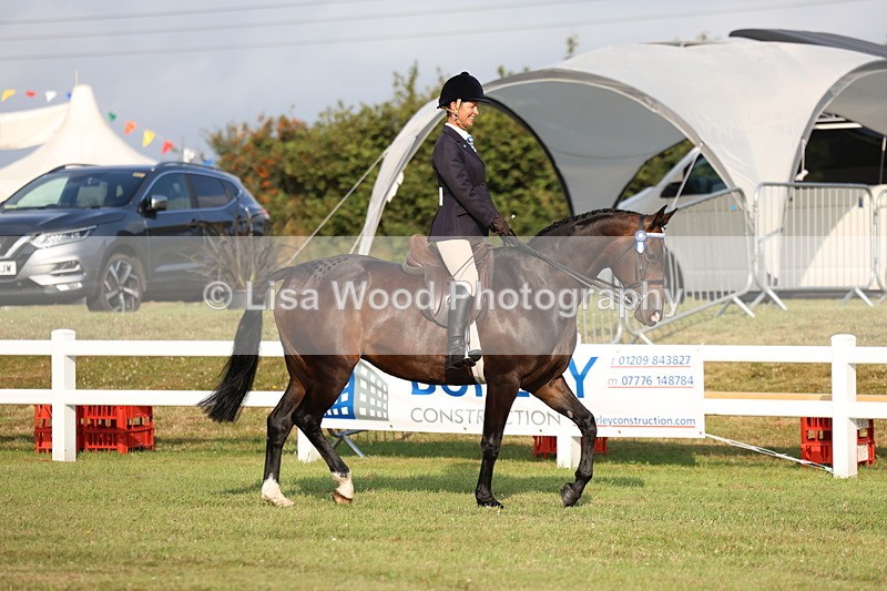 3E7A7654 - Class 1: Rising Star Small Hack/Riding Horses
