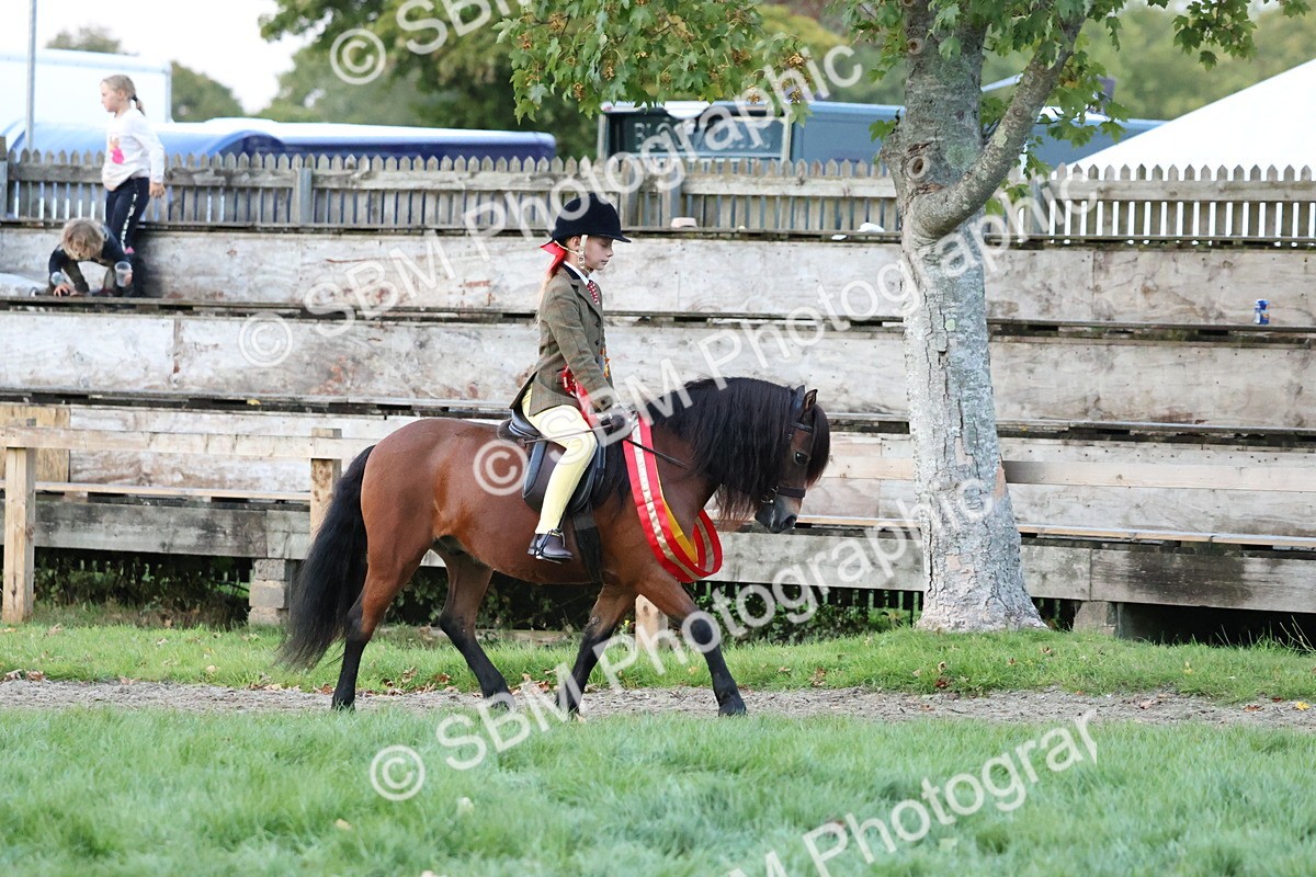 SBM_53455 - Super Supreme Championship (Sat)