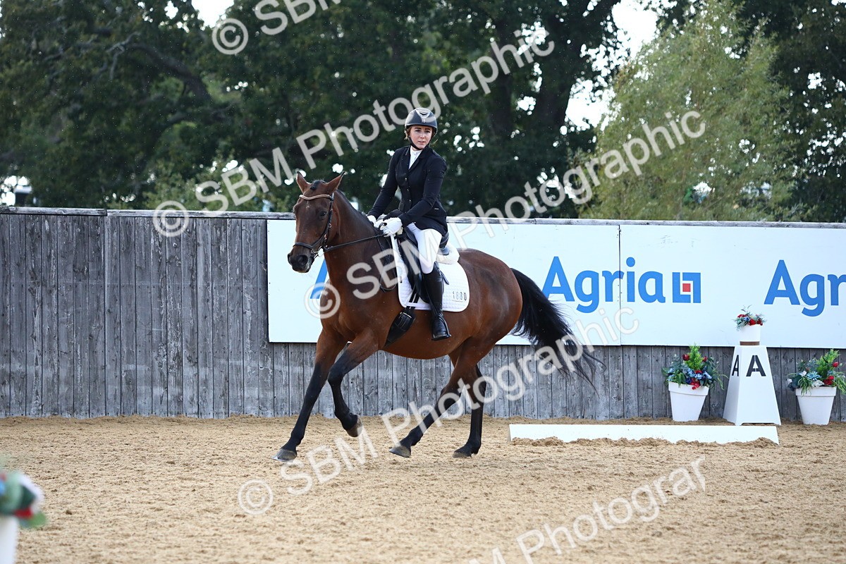 SBM_31595 - D11 - Small Tour Championship Prelim 1