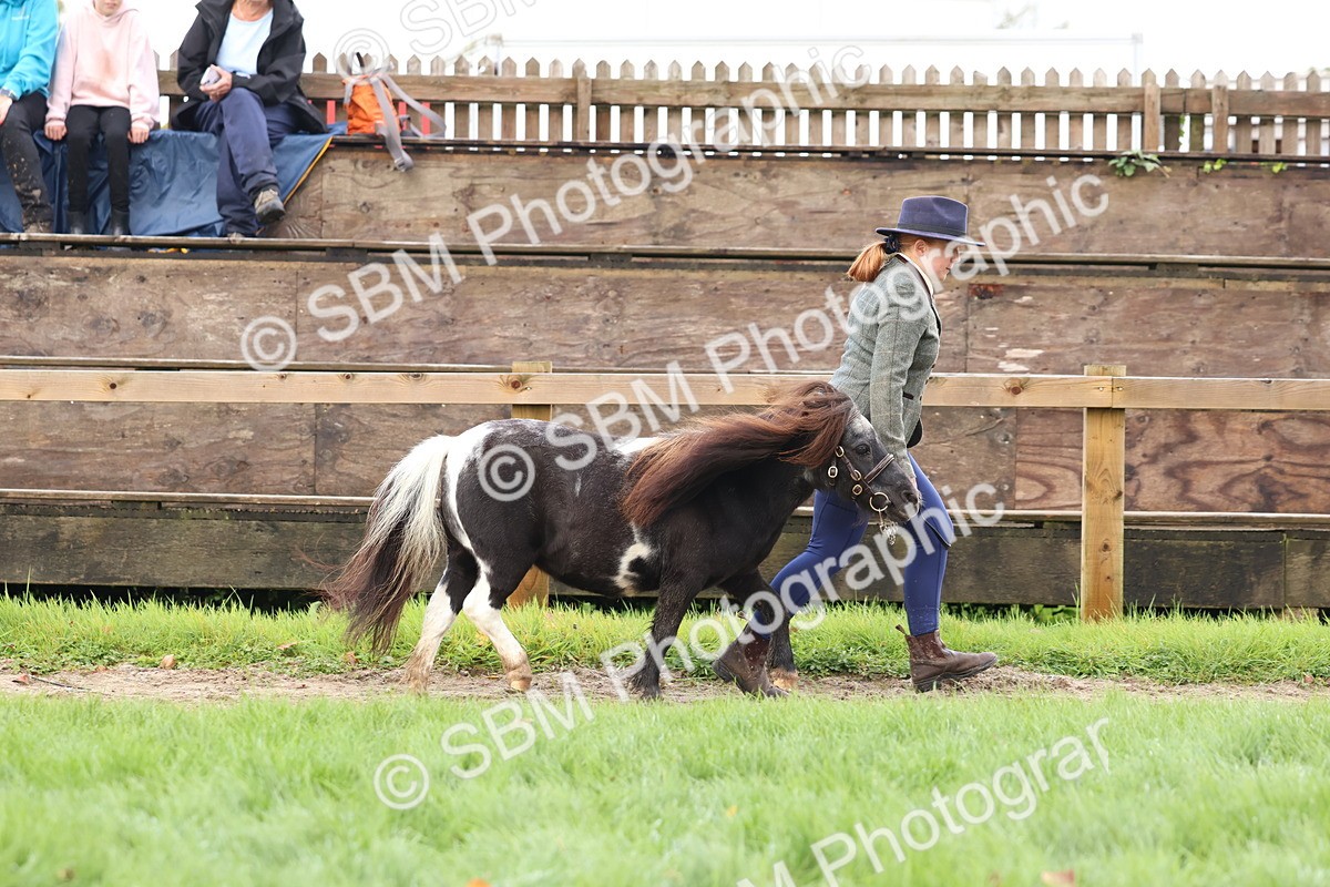 SBM_39459 - S24 - Young Veteran In Hand