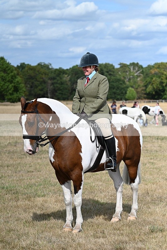 WJ7_7345 - Class 14 Ridden Coloured