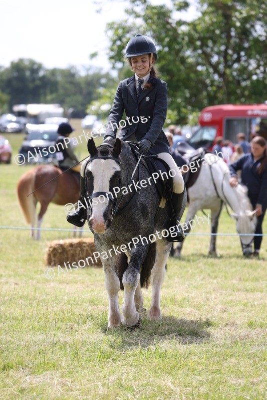 20260614-1954 - Class 21 - Novice Working Hunter Pony