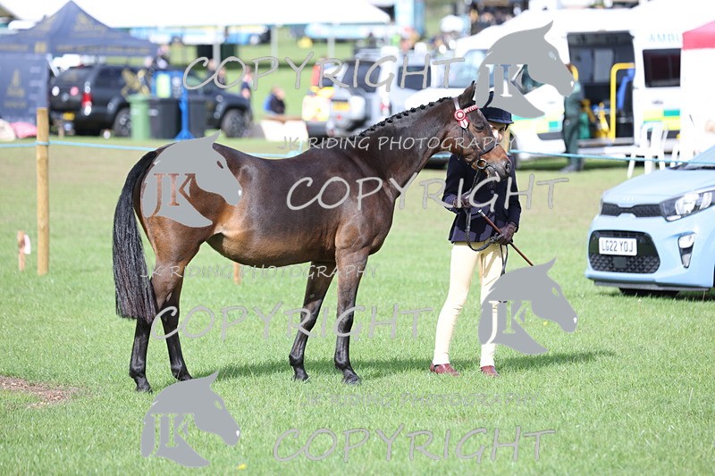 APP_2583 - Class 9 Veterans in hand