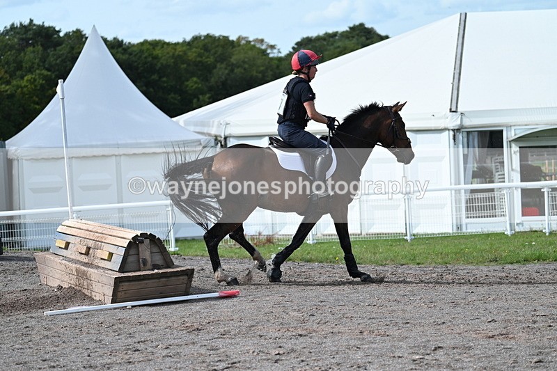 WJ7_2383 - Time 13:55 to 14:05