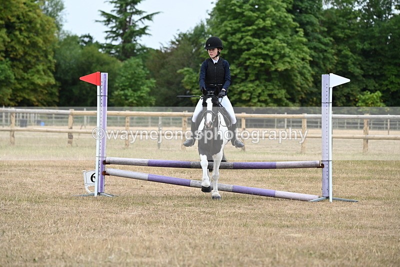 WJ6_0119 - Class 13 Novice Jumping 60cm
