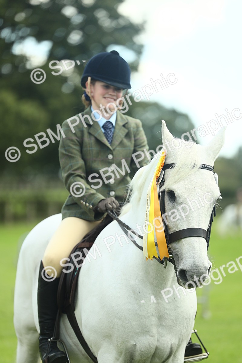 SBM_42232 - S29 - Novice & Newcomers Working Hunter Pony
