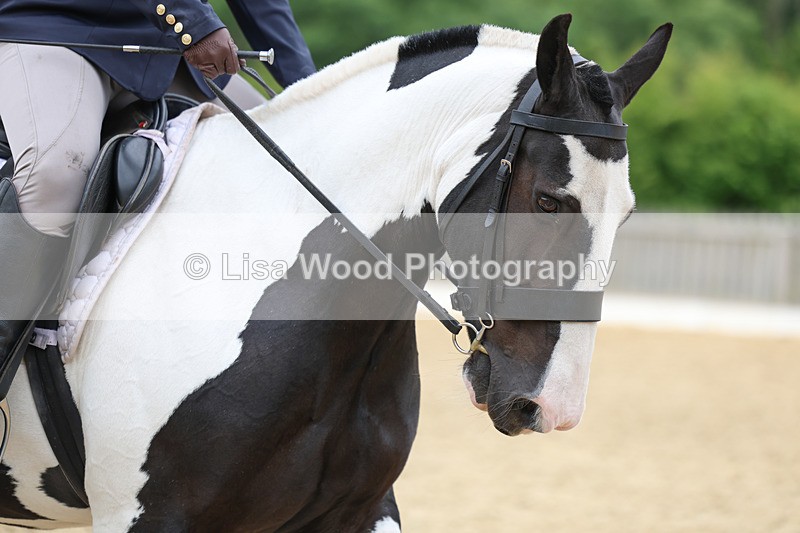 3E7A9439 - Class 2: Intro 1 2024 Section B