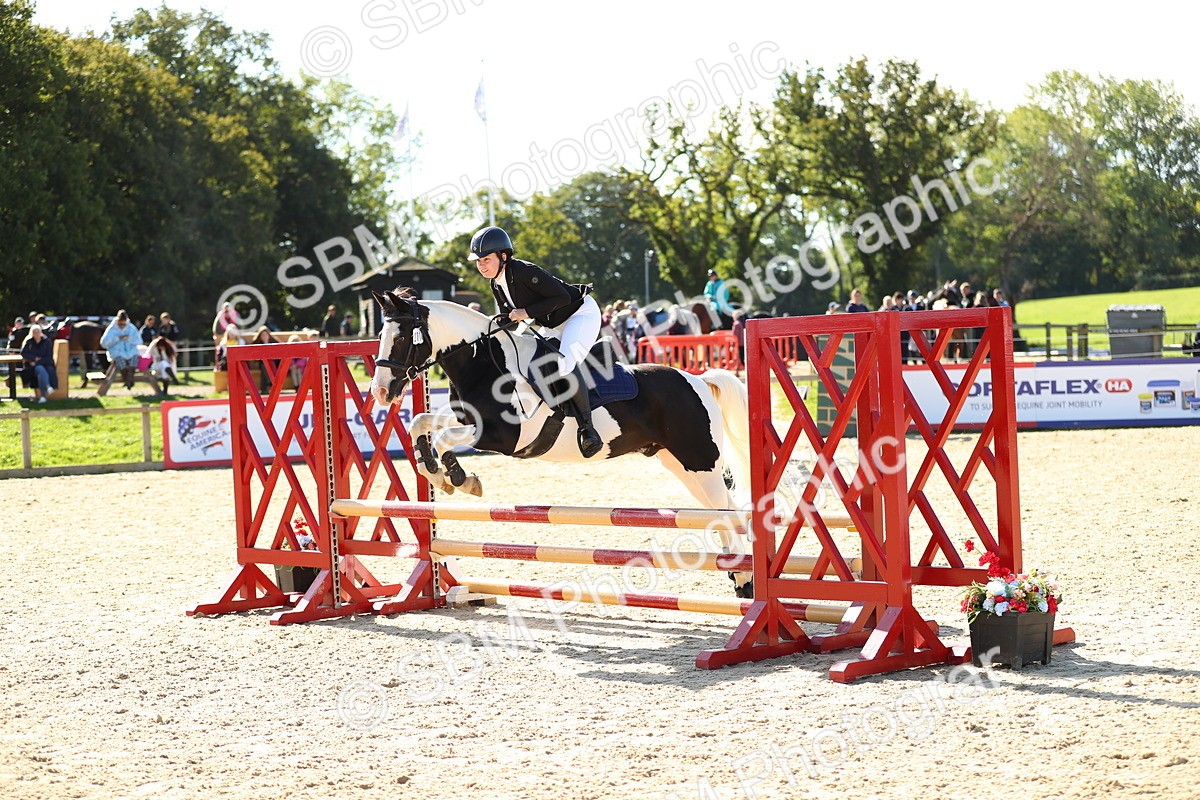 SBM_17754 - J33 - Senior 75cm Championship