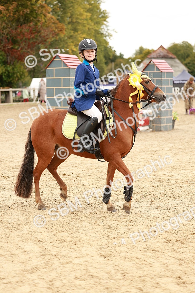 SBM_58112 - J11 - Junior Pony 50cm Championship