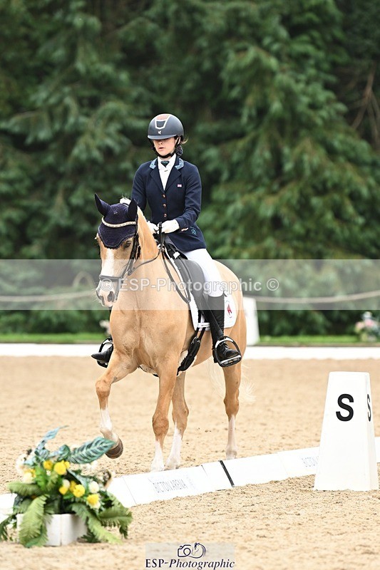 240811-122823-05835 - 301-Sophia.Longworth-Don.Deluxe