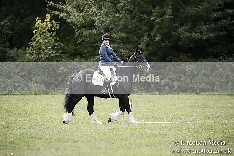 BVR080918 153 - BVRC Novice Dressage & CR 08/09/18