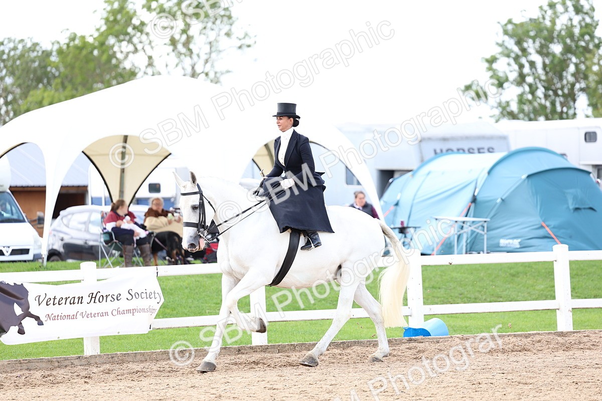 SBM_03210 - Class 22 - SSA Equitation (any age)