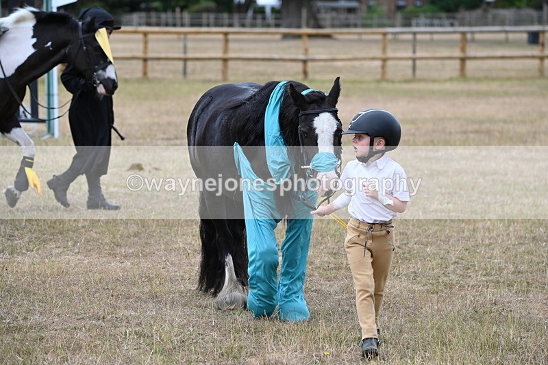 WJ6_8777 - Class 11 Fancy Dress