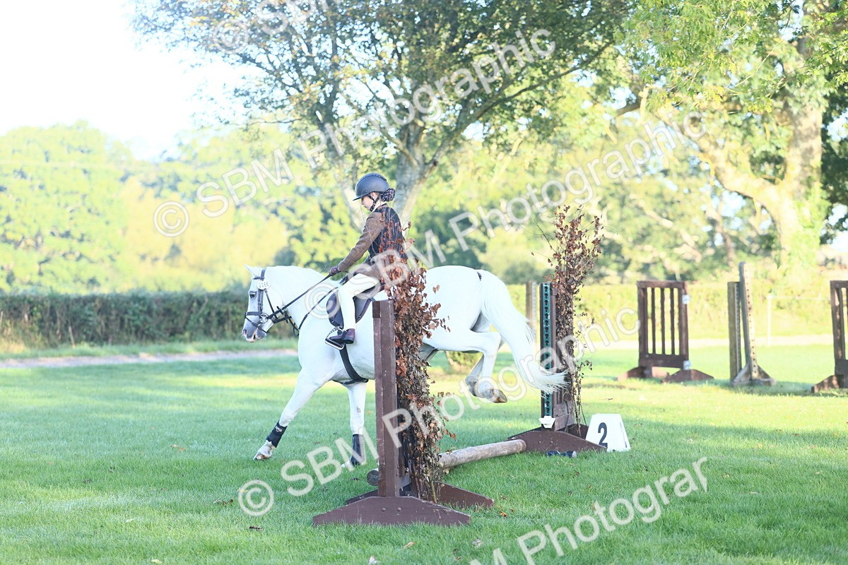 SBM_37356 - S29 - Novice & Newcomers Working Hunter Pony