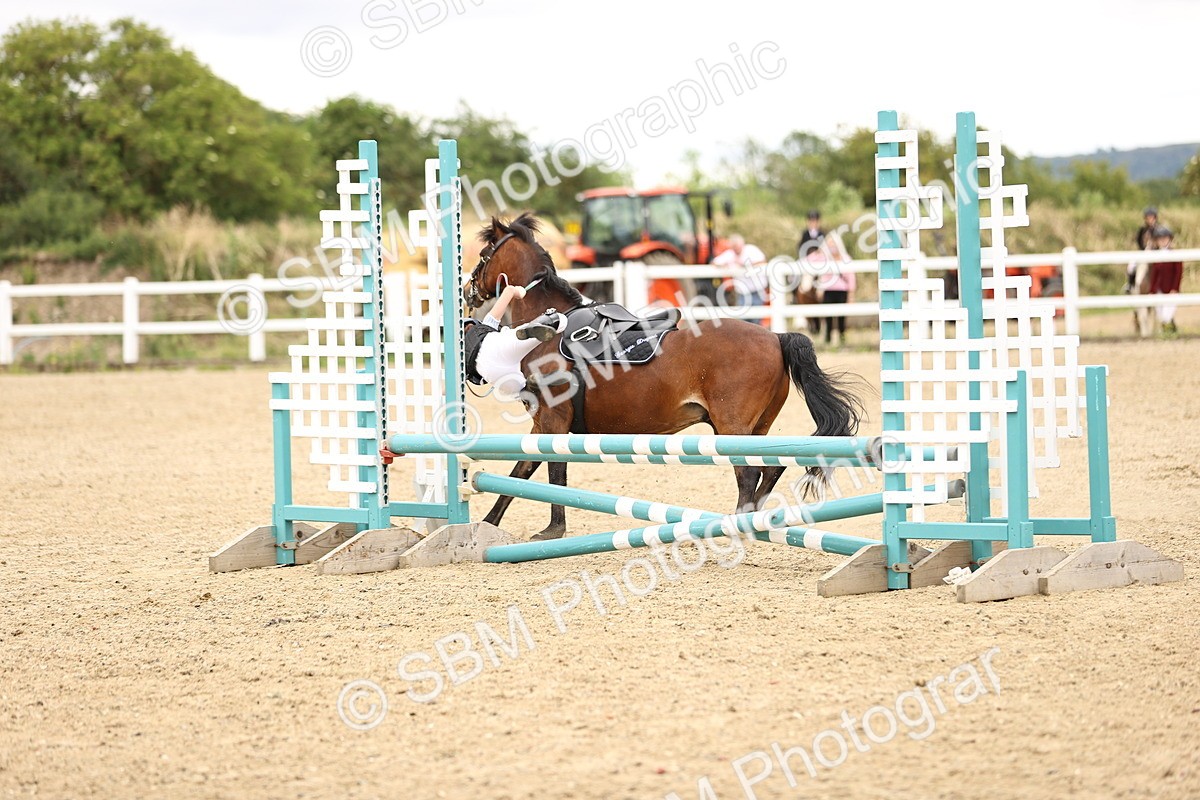 SBM_000485 - 60cm