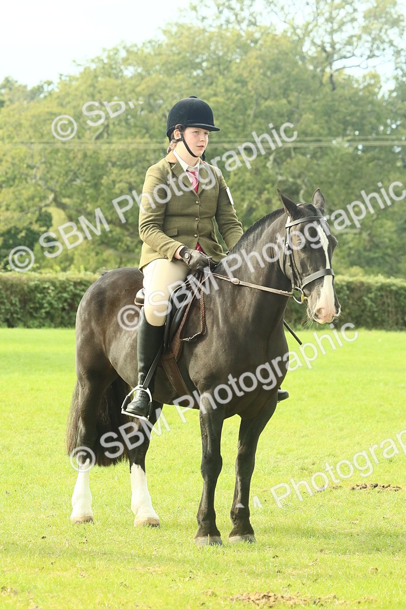 SBM_69369 - S58 - Mini Show Cob Ridden