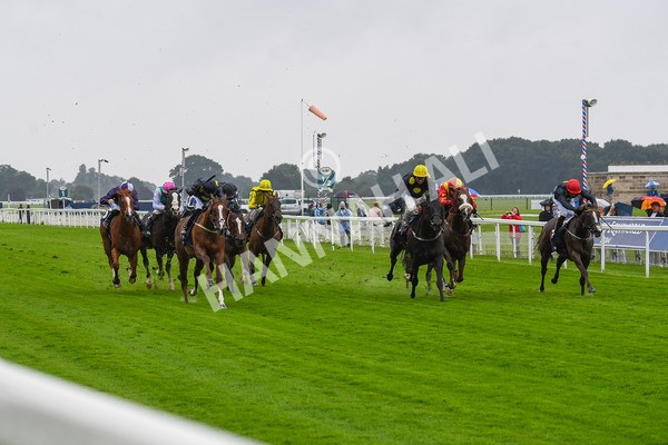 140723-Race 2-Swingalong-0148 - Race 2 2.40pm William Hill Summer Stakes