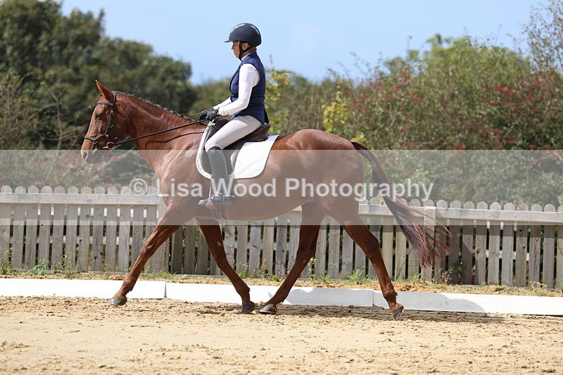 3E7A3969 - Class 9: Novice 6 Section B Championship