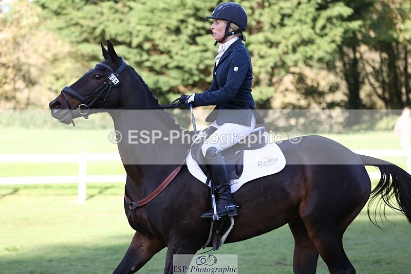 231022-154019-29882 - 465-LANGALLER.ALPHA.BRAVO-Cheryl.Beer-TrotUp+SJ