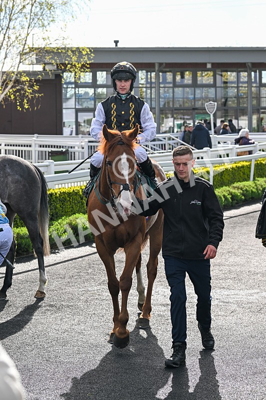 240424-Race 6-Red Mirage-8458 - Race 6