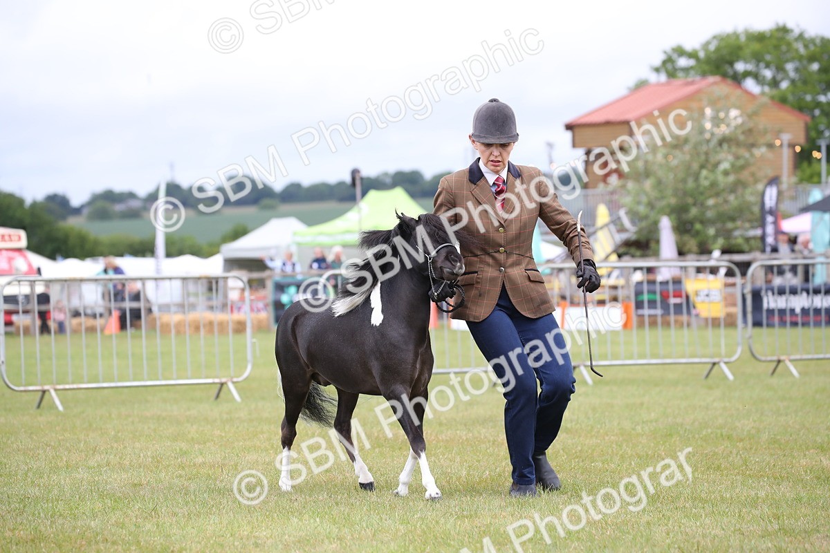 SBM_03771 - Class 23-25 - British Miniature Horse of the Year