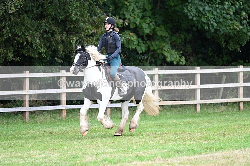 WJ7_7750 - 40cm Time 10:49 to 11:18
