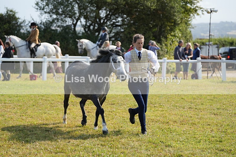 DSC05060 - Class 48: NPS M&M 2/3 year olds