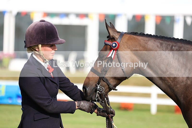 3E7A7880 - Class 1: Rising Star Small Hack/Riding Horses