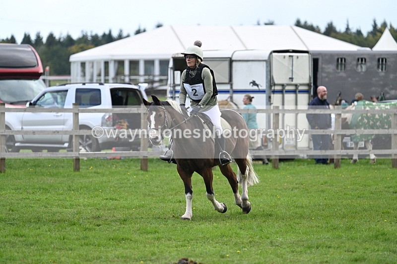 WJ7_4200 - 40cm Time 10:44 to 10:52