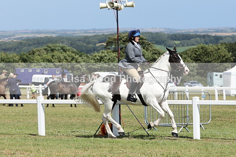 JPP_2295 - Class 19: Working Hunter 60cm