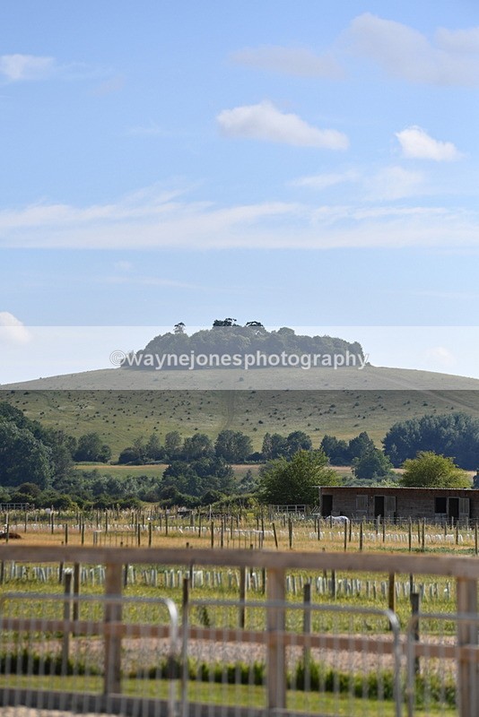 WJ5_5466 - Poles on the Floor