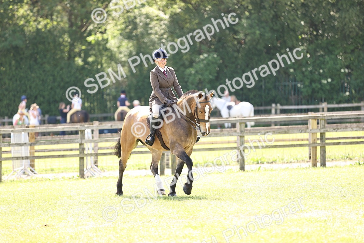 SBM_13805 - Class 77 - LIHS BSHA Rising Star Cobs