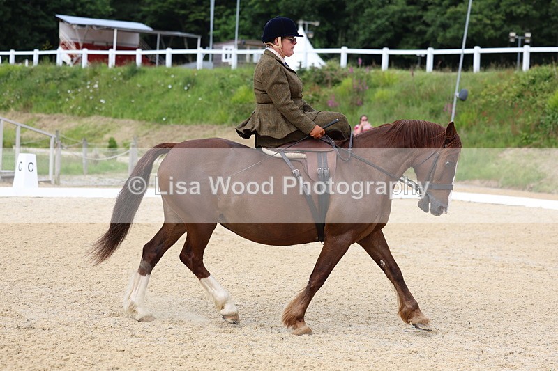 3E7A1629 - Class 2: Intro 2 2024 Section B