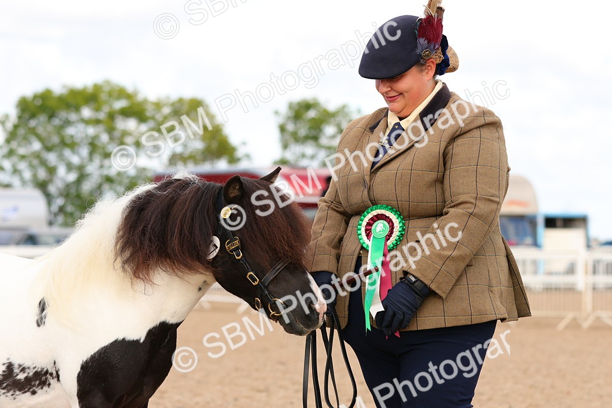 SBM_10354 - Class 206 - IH Non Show Type Pony