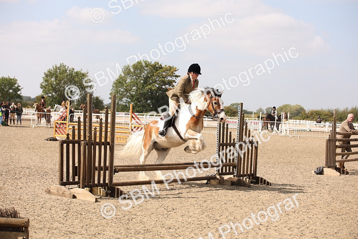 SBM_14292 - Class 407b - Working Veteran 60cm (20+)