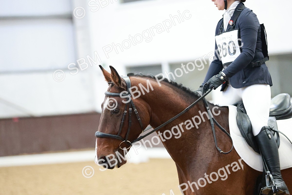 SBM_003984 - Class 2 - Novice 2020