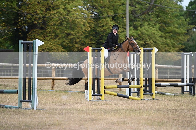 WJ6_0191 - Class 13 Novice Jumping 60cm