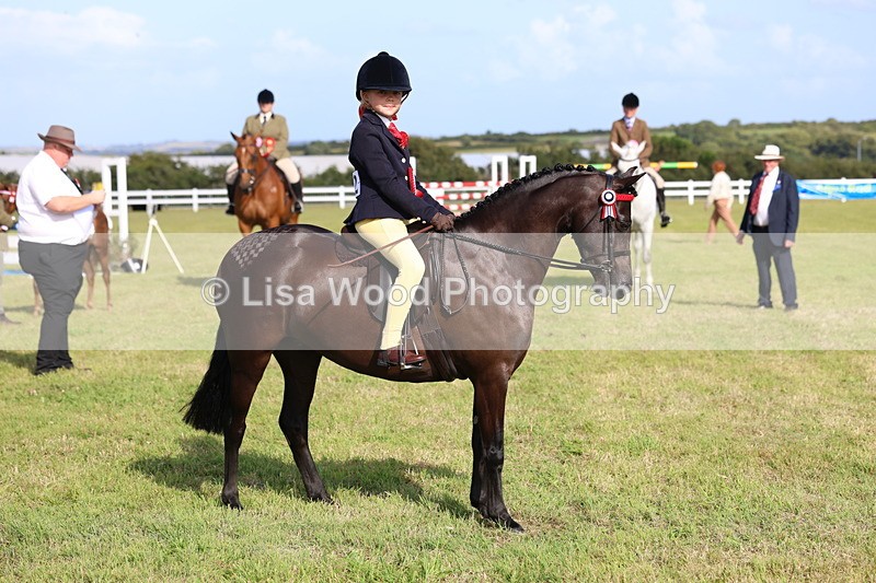 3E7A3950 - Supreme Championship