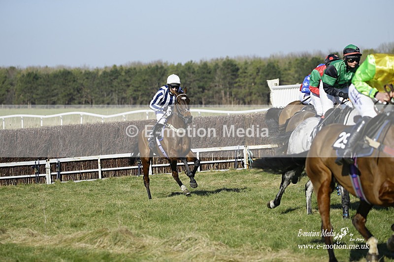 PtP 270222 50 - South & West Wilts Point-to-Point Larkhill 27/02/22