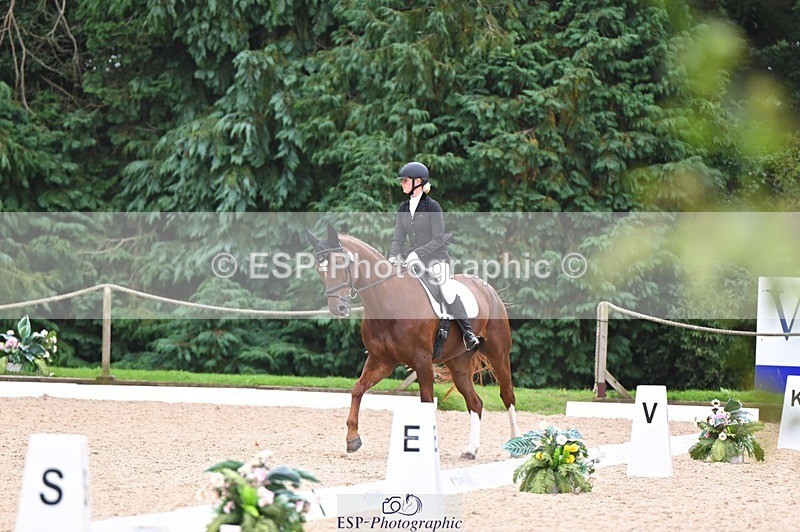 240809-121902-00737 - 185-Daisy.Hedges-Felicia.v